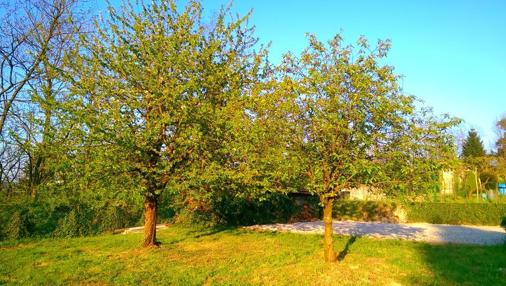B&B Vinago Belvedere Mornago Kültér fotó